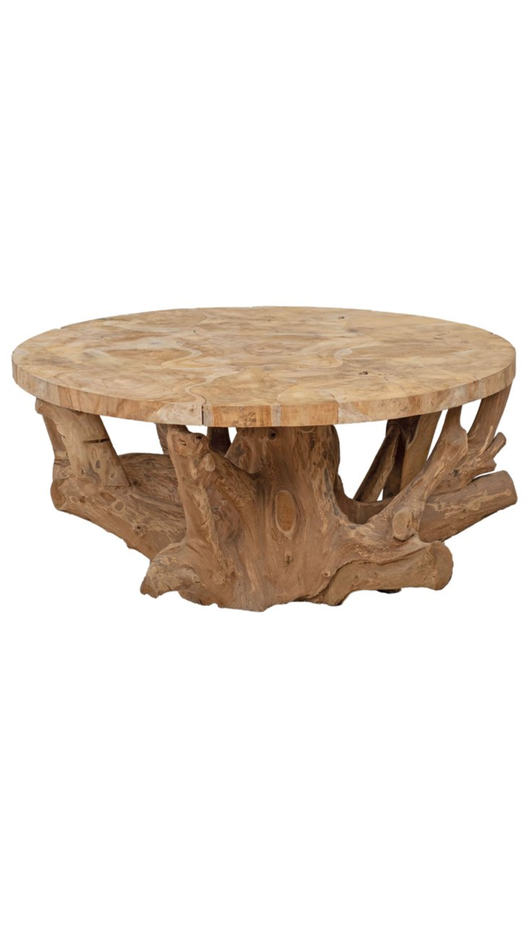 Makassar Root Coffee Table