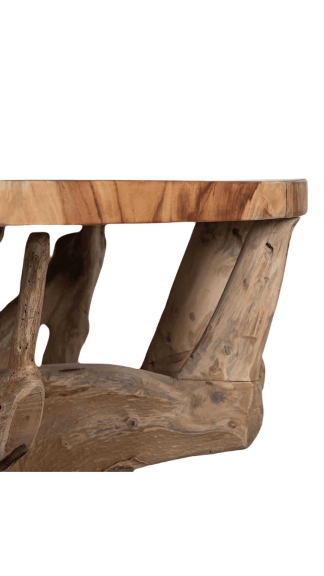 Makassar Root Coffee Table