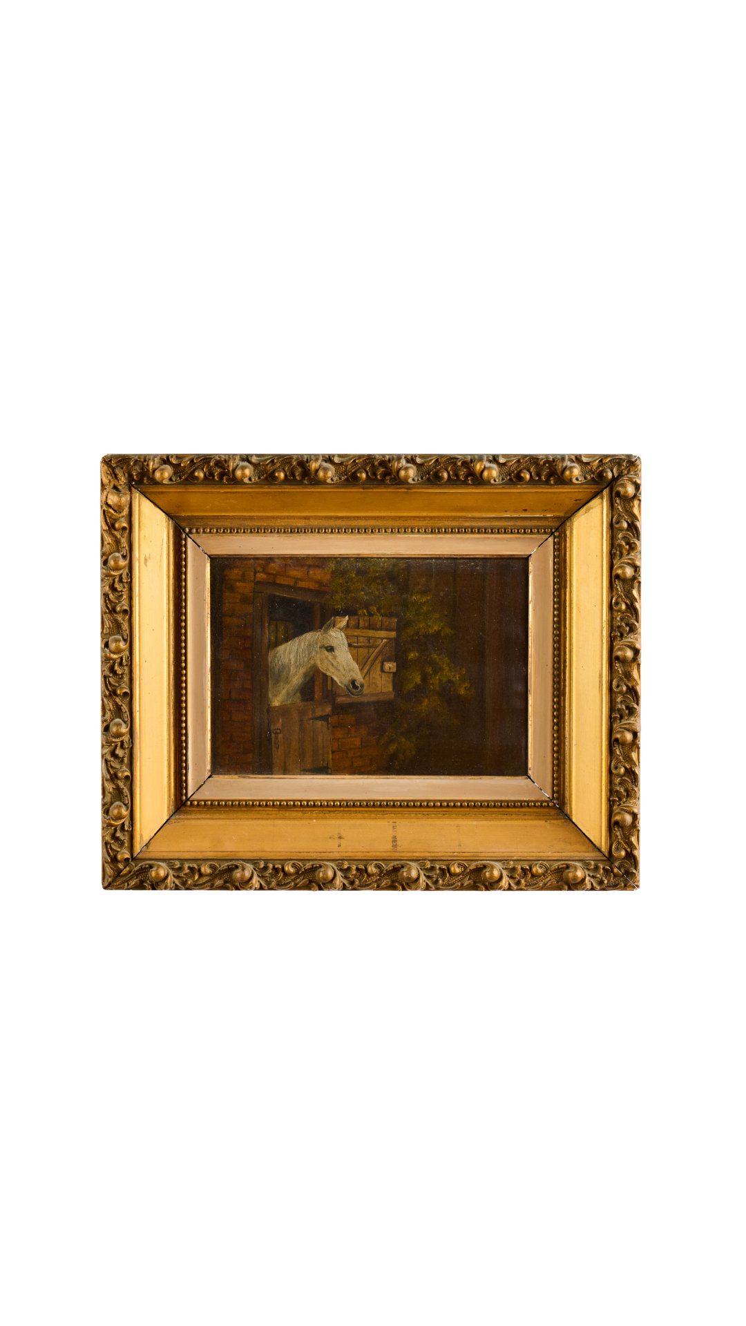 Antique Horse Portrait - Italian