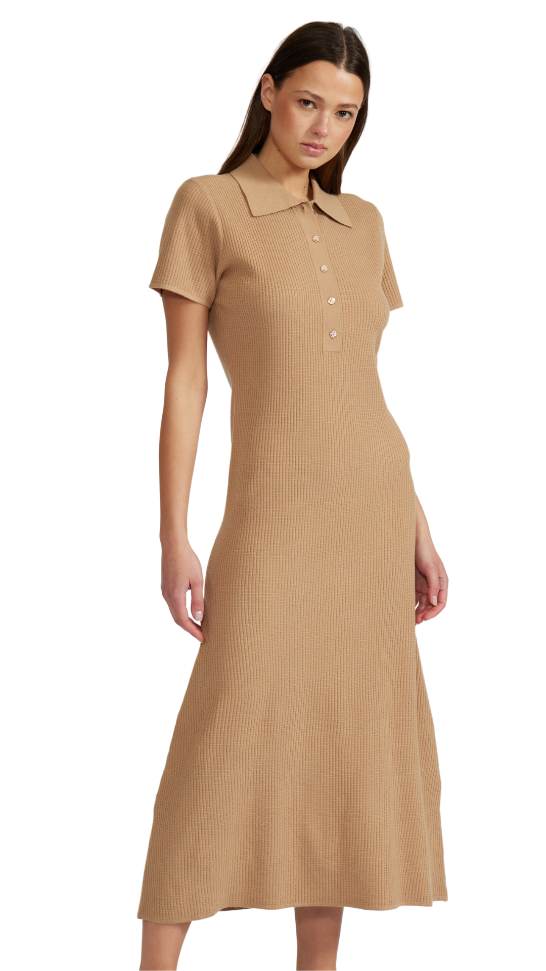 Arden Polo Dress