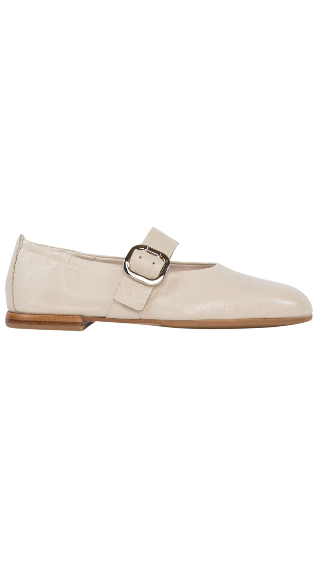 Kala Ballet Flat