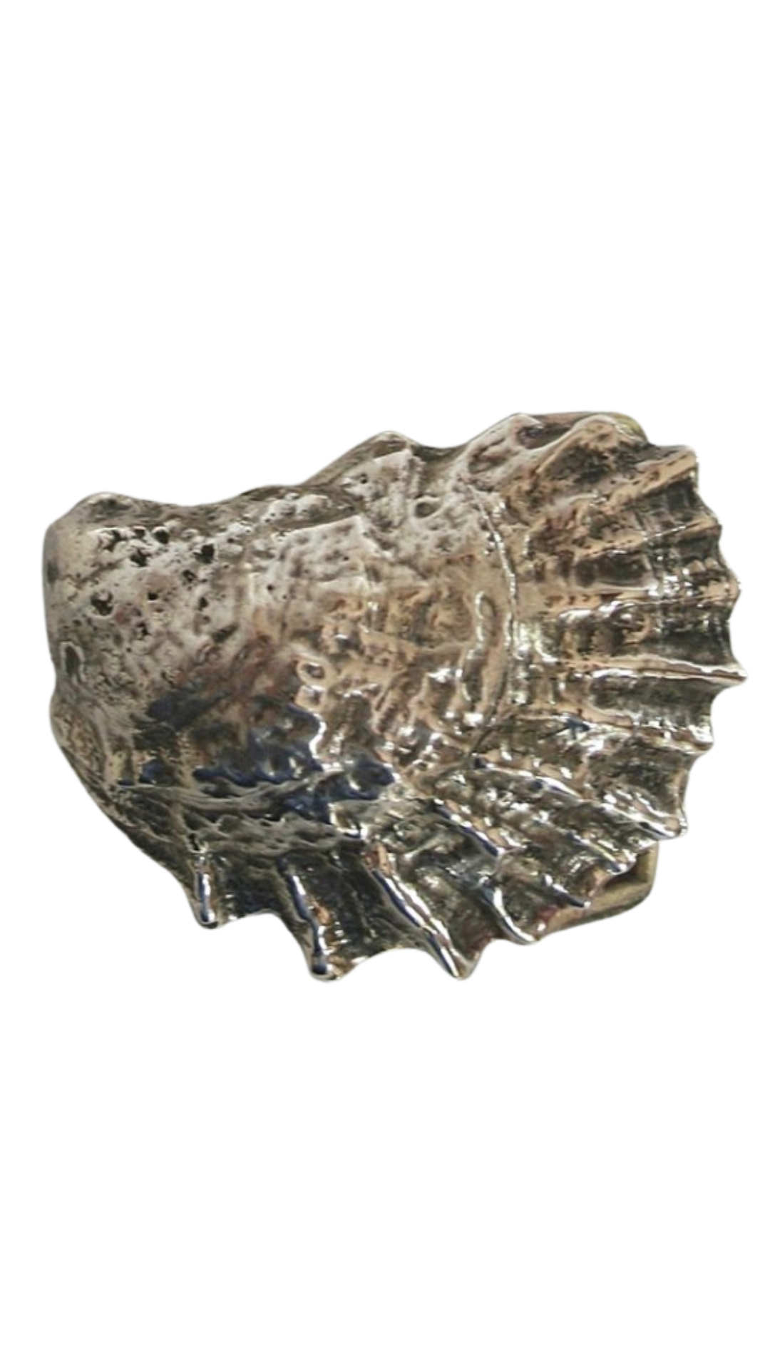 Aquinnah Oyster Belt Buckle - Nickel Silver