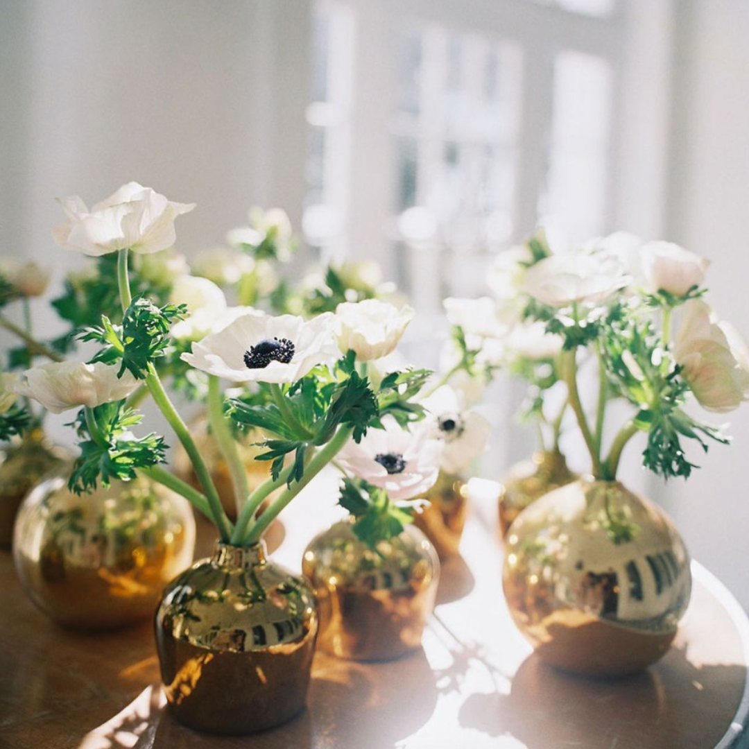 Bud Vase Collection