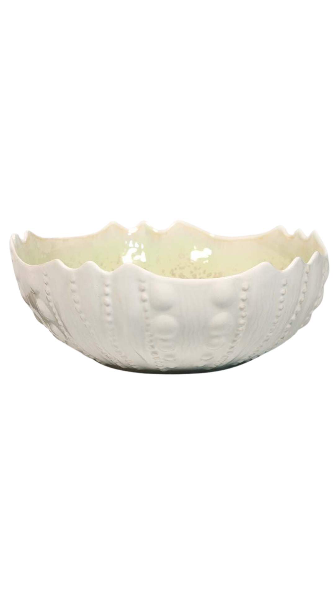 Sea Urchin Bowl Large