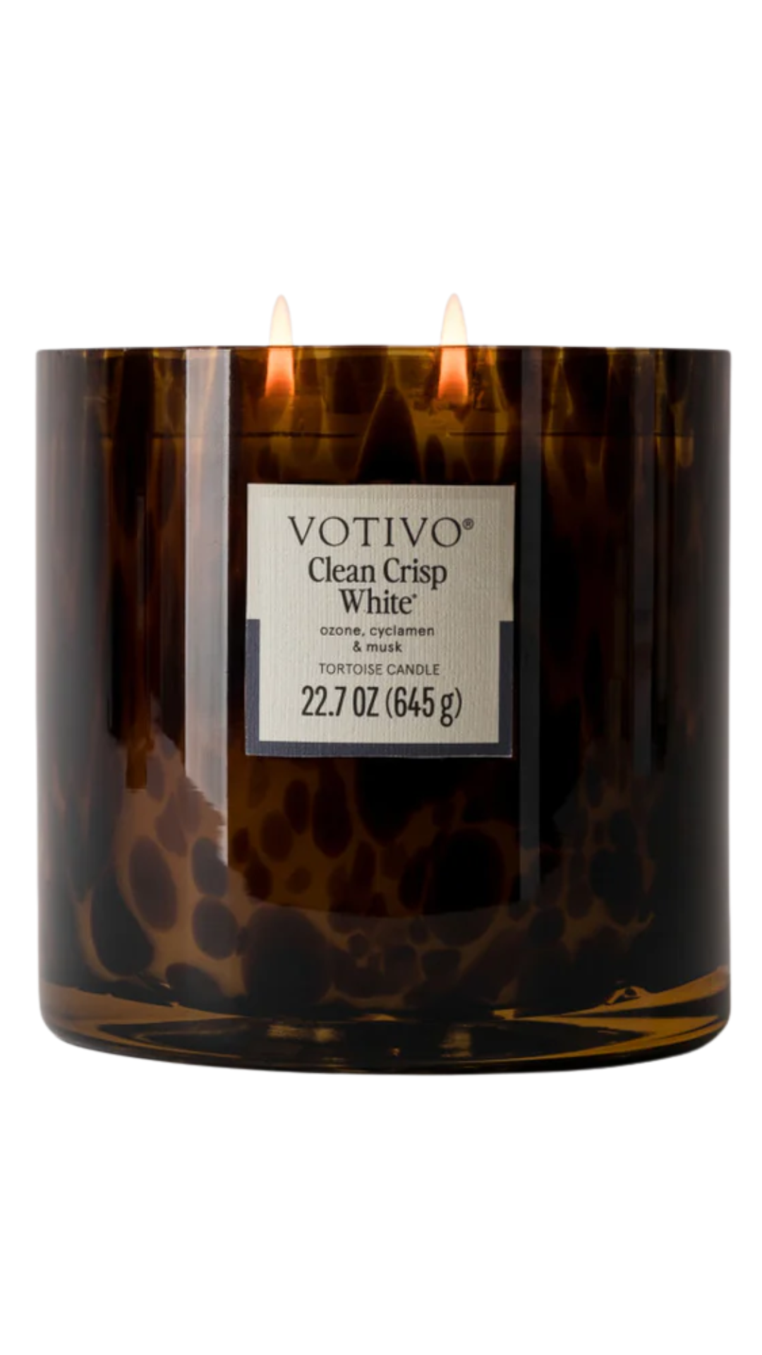 Votivo Tortoise Candle
