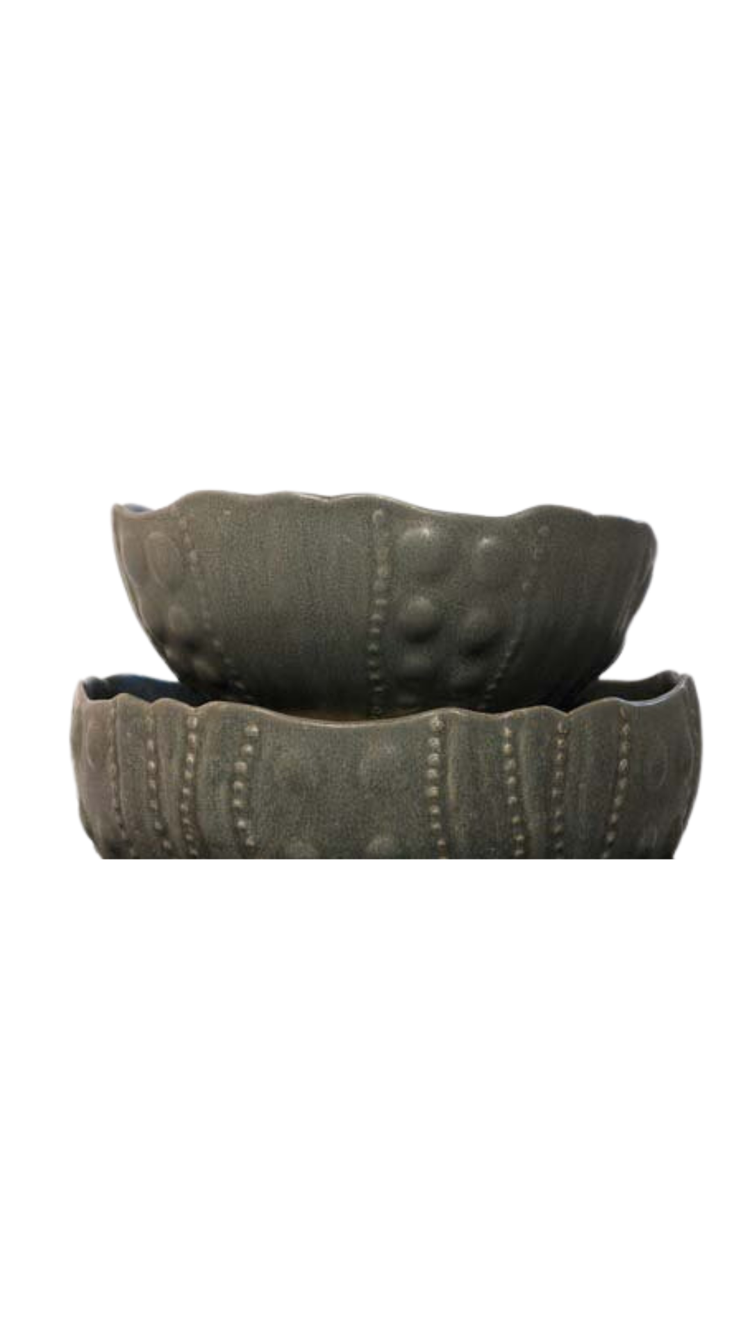Sea Urchin Bowl Small