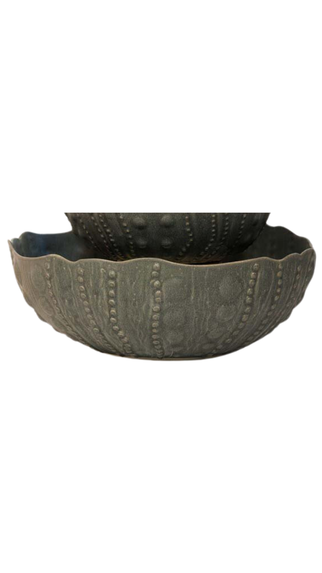 Sea Urchin Bowl Large