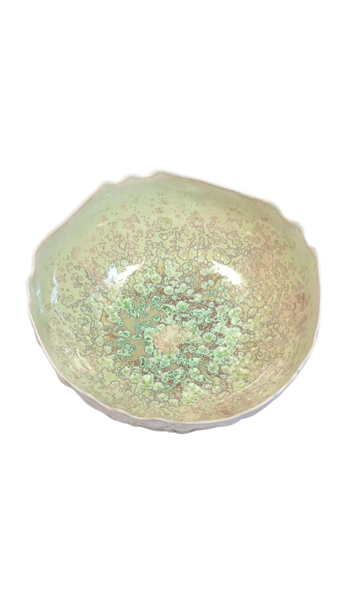 Sea Urchin Bowl Large