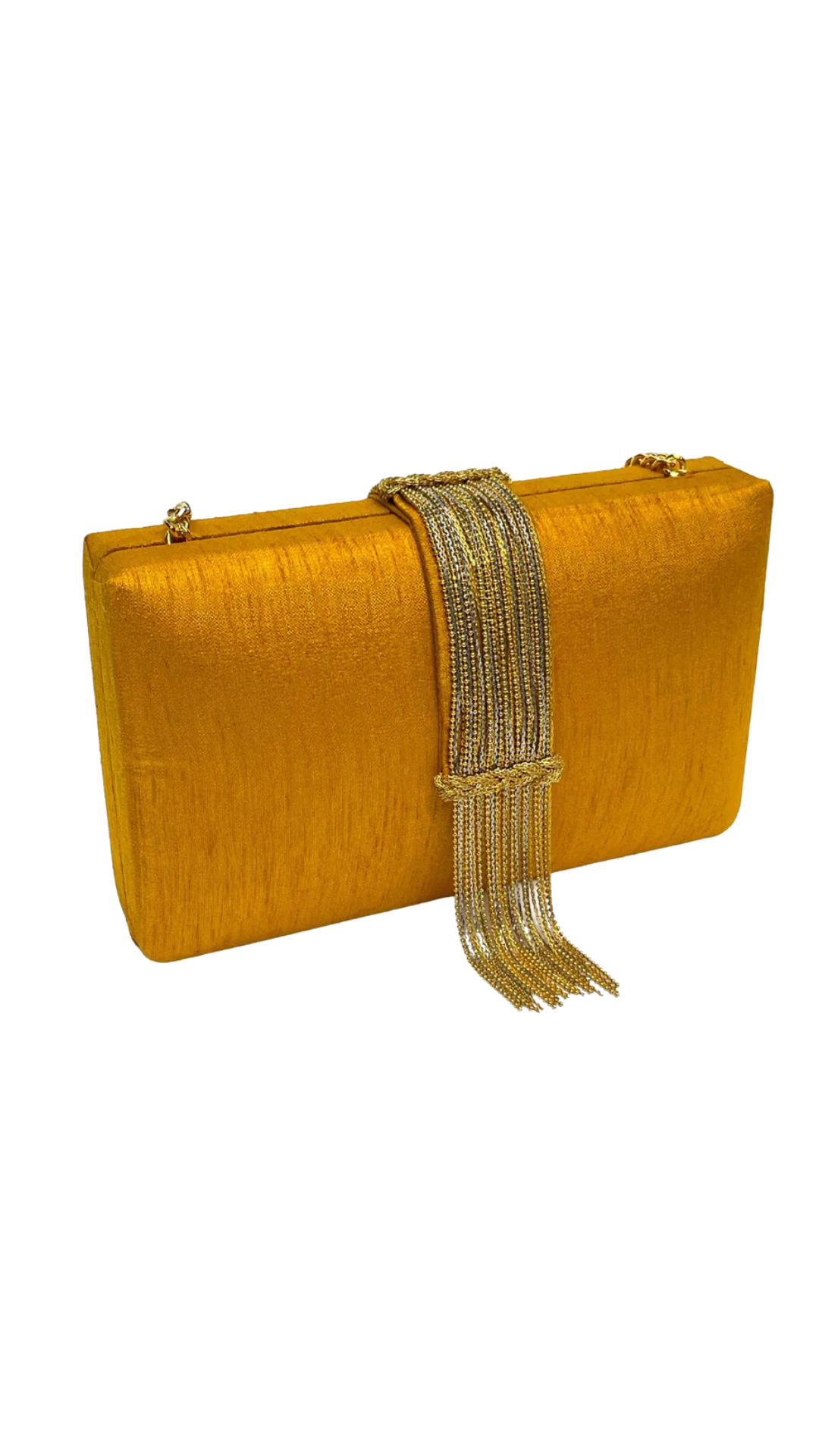 Gold Fringe Clutch