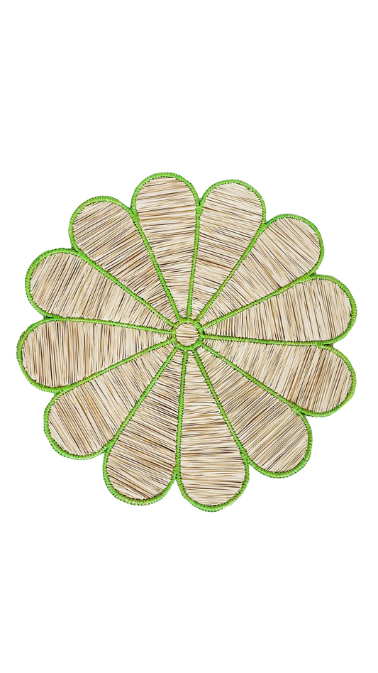 Clover Iraca Plcmt