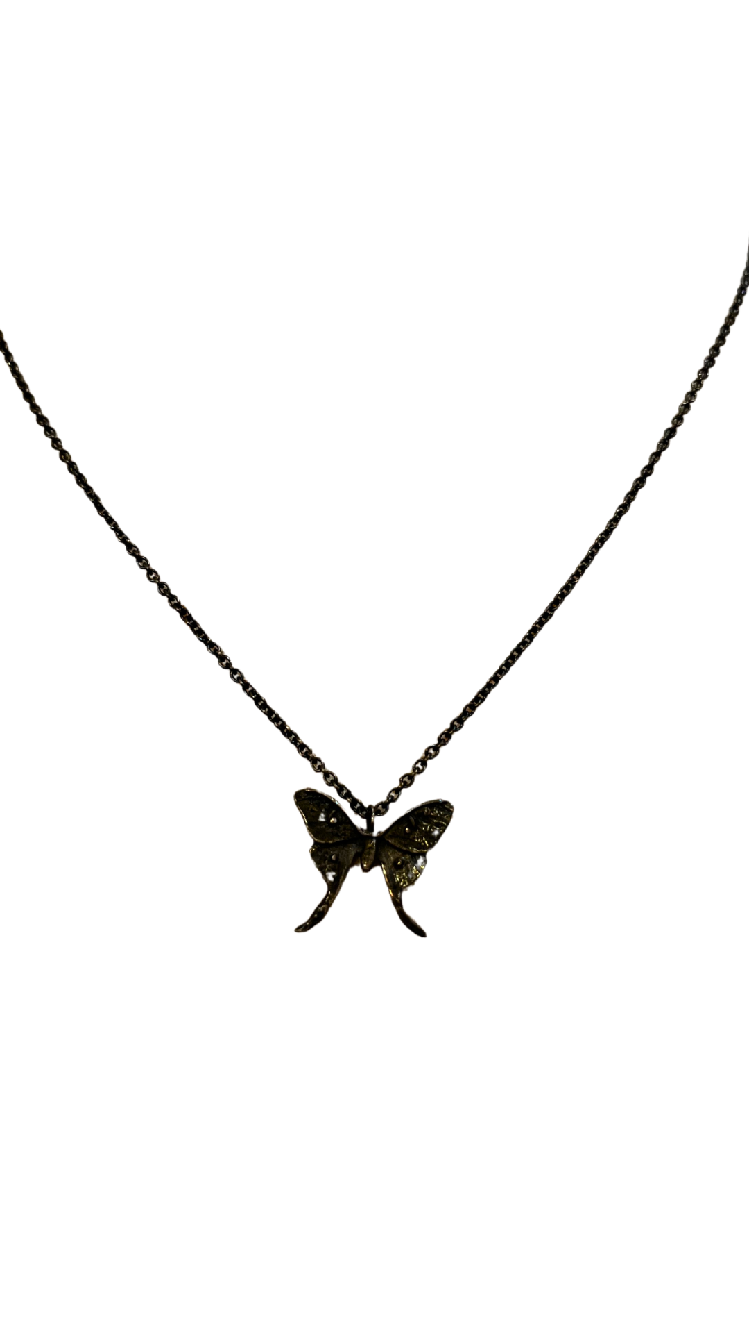 sm luna moth neck