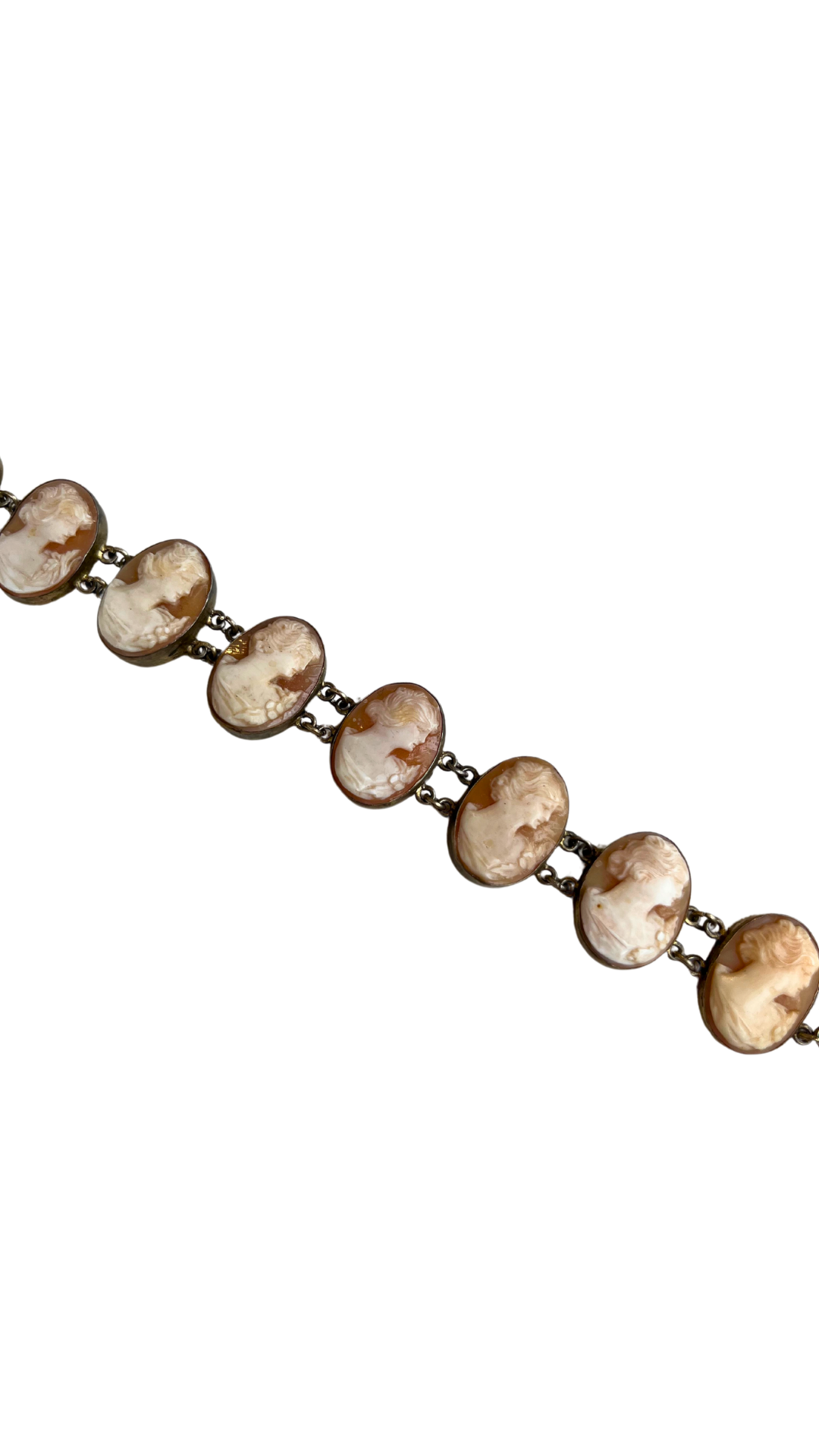SS Cameo Brclt