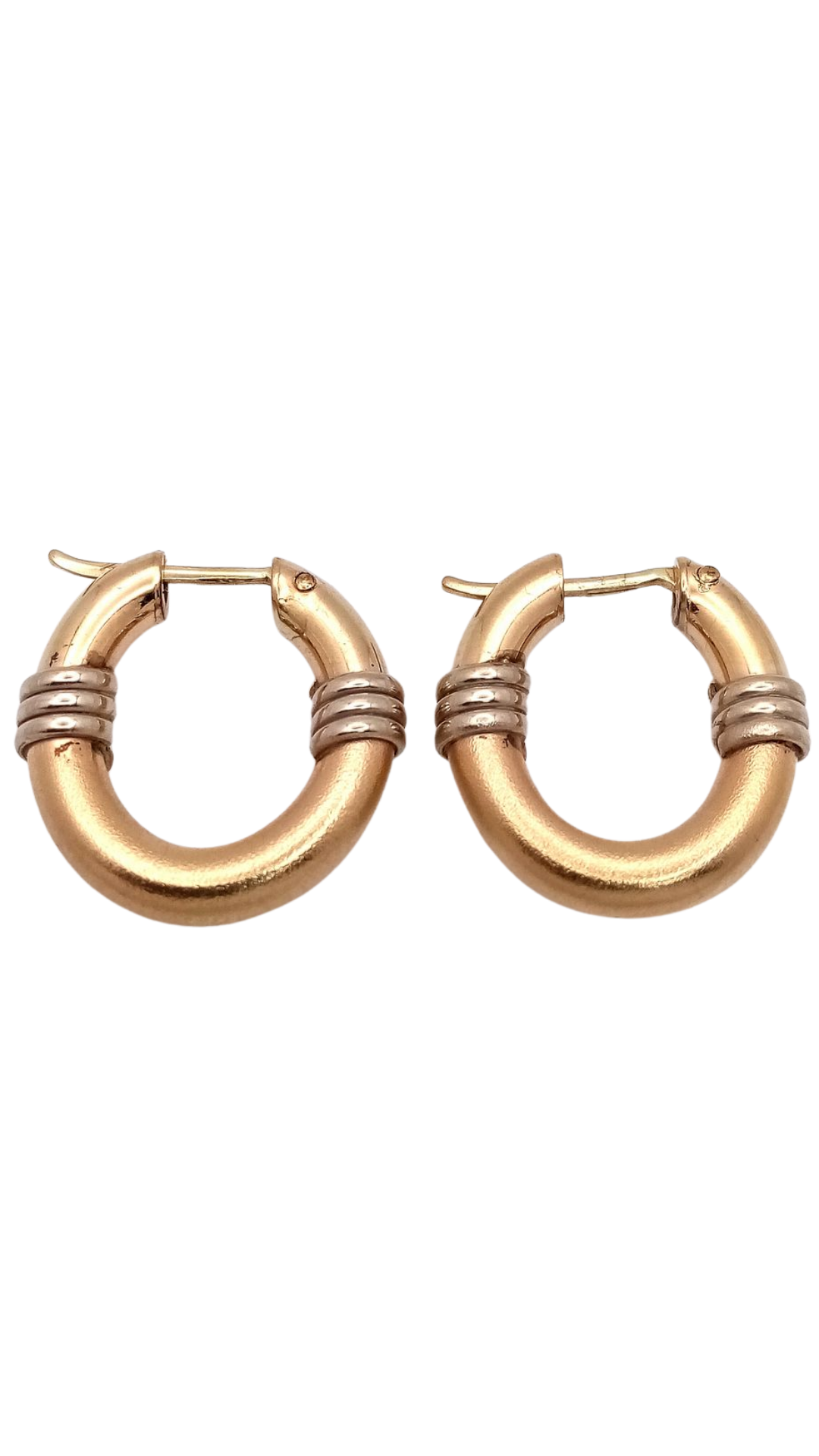 273 Two Tone Hoops