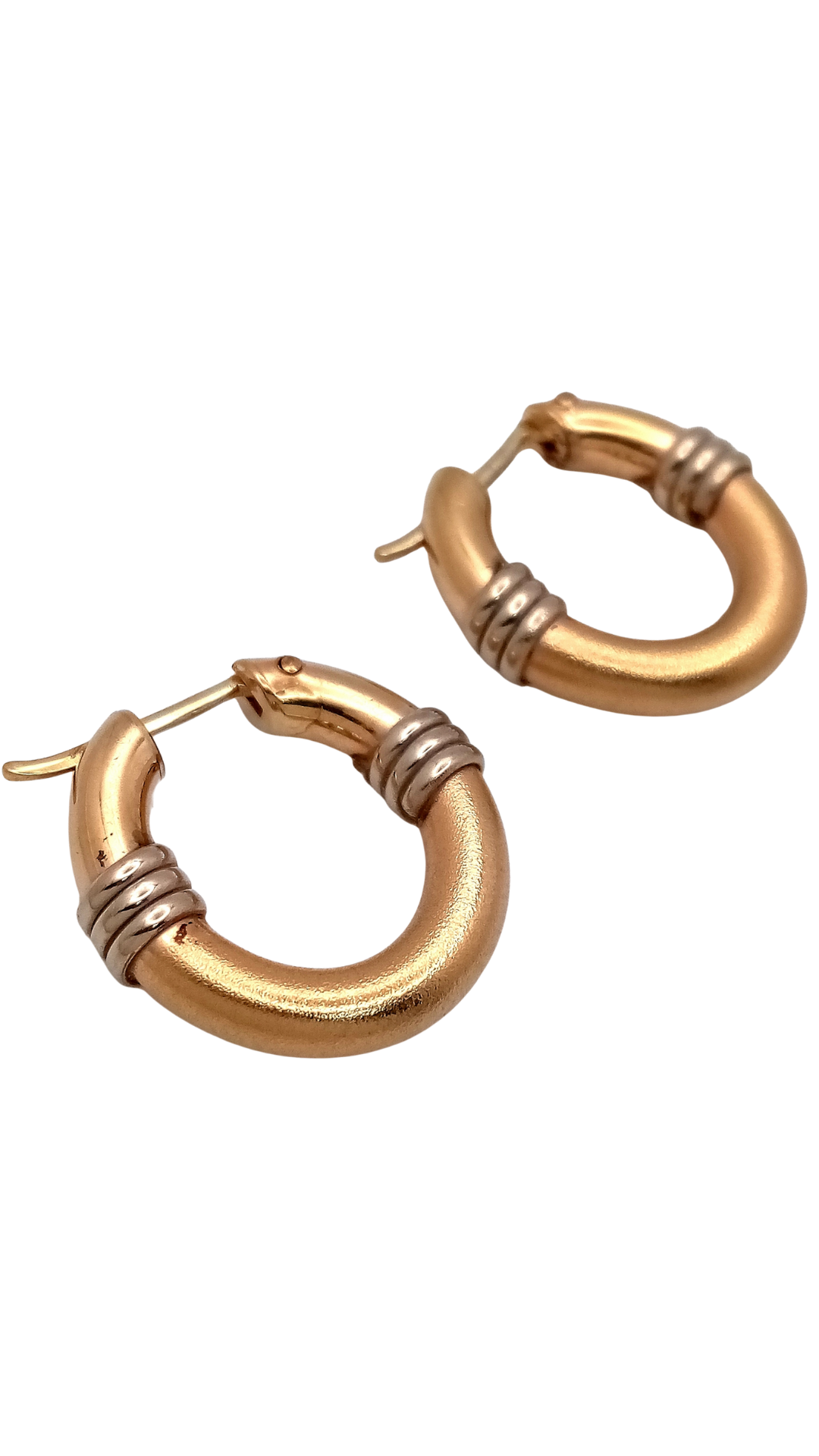 273 Two Tone Hoops