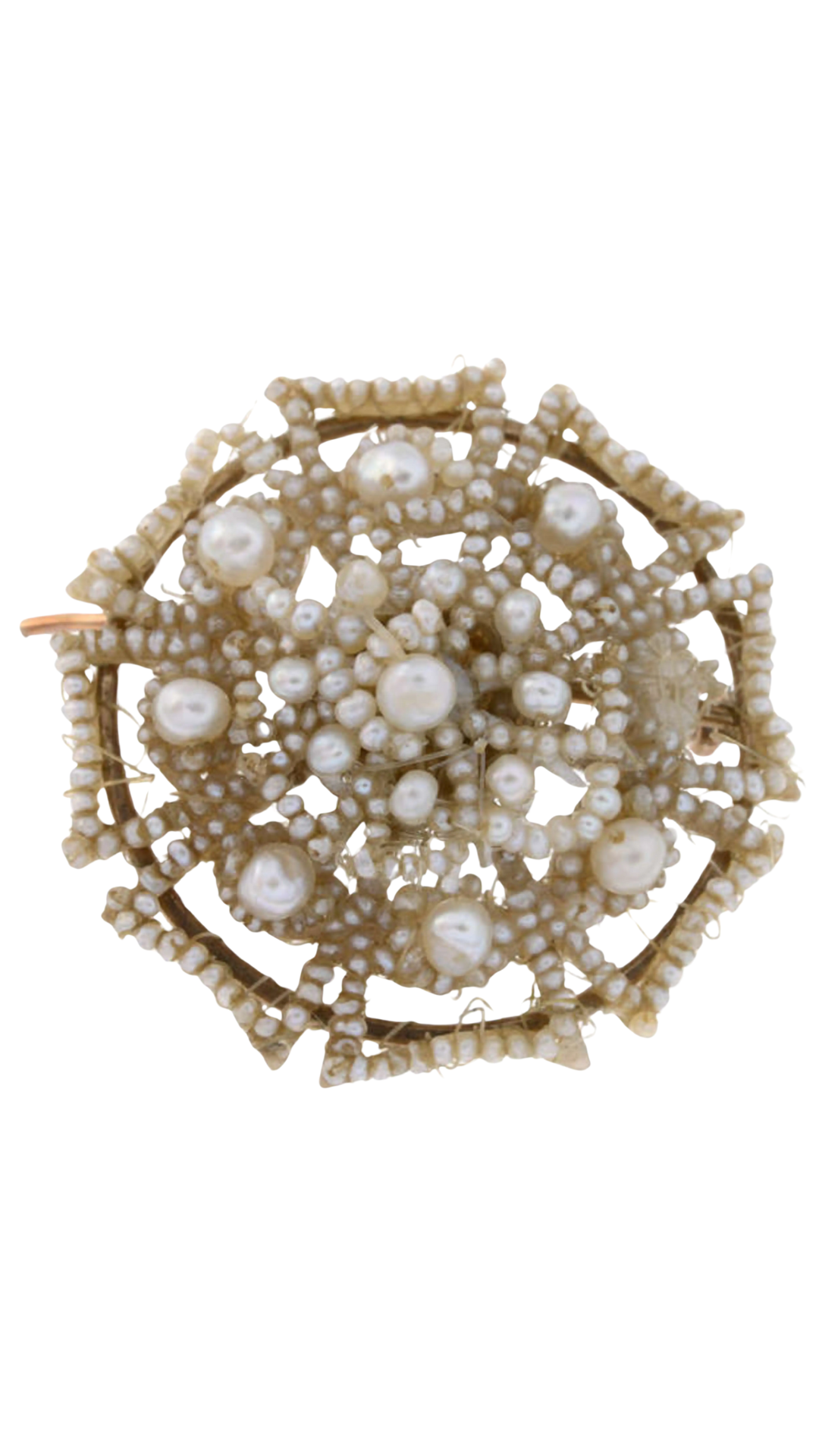 136 Pearl Brooch