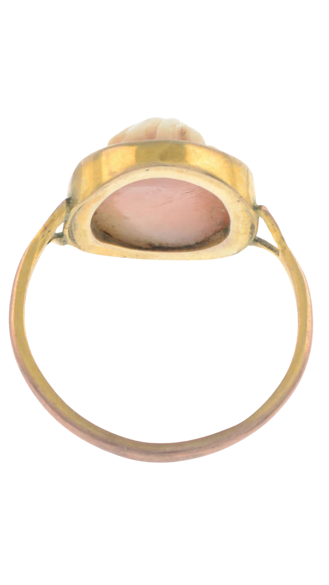 216 Shell Cameo Ring