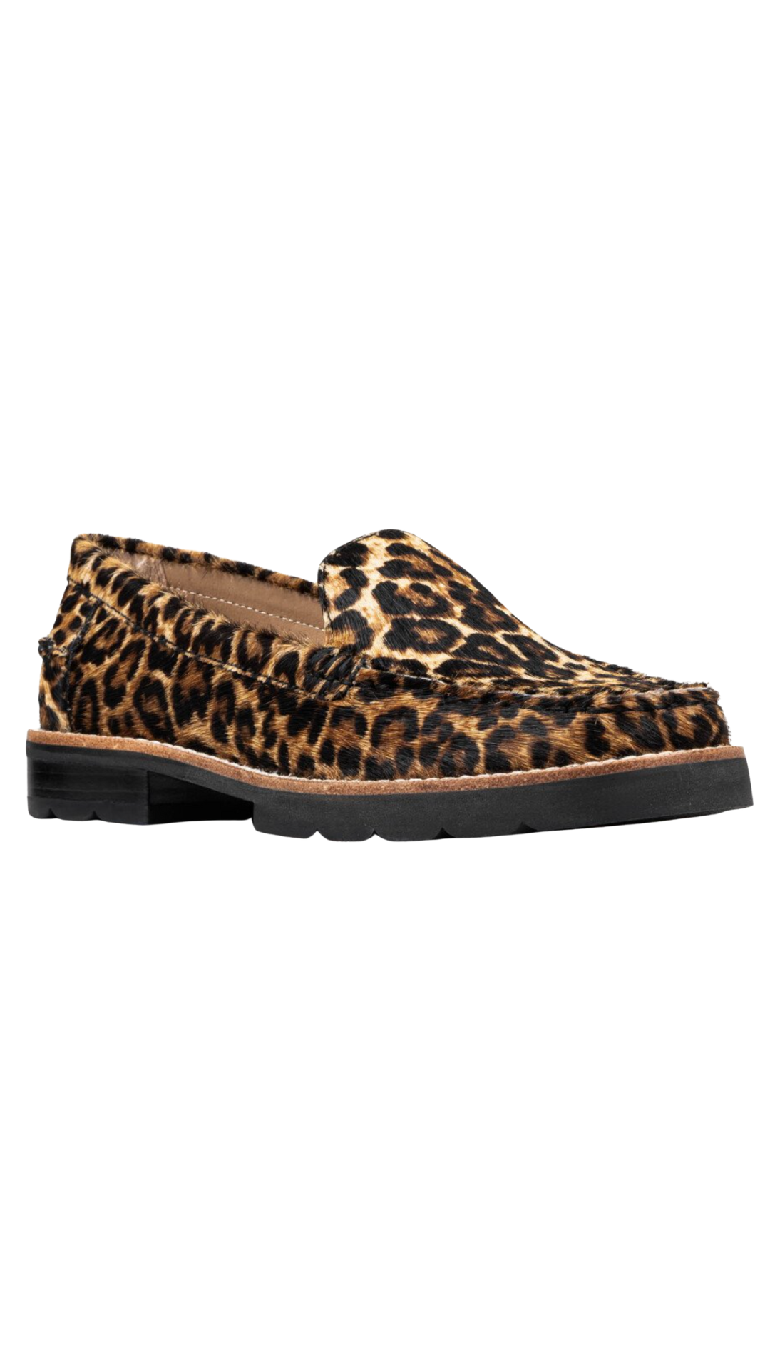 Ombre Black Leopard Loafer