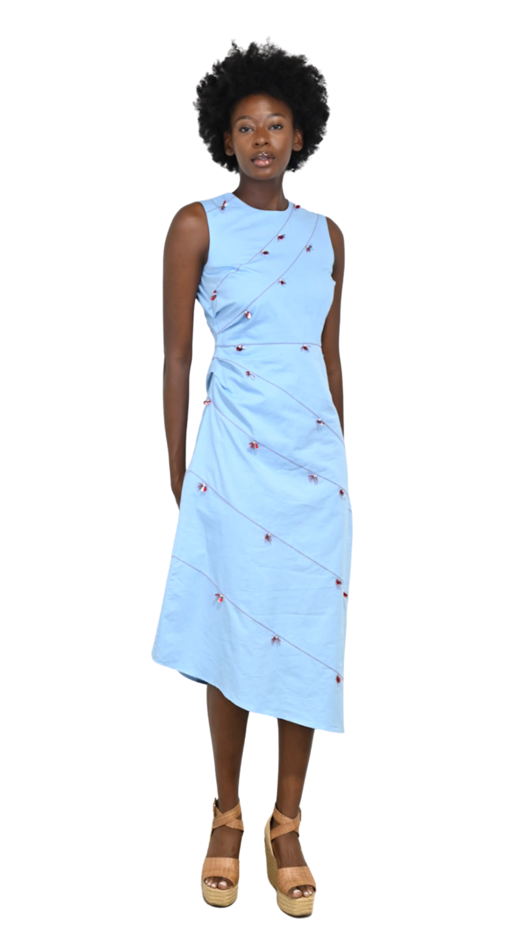 Blue Poppy Beaded Long Dress  The Art of Creating