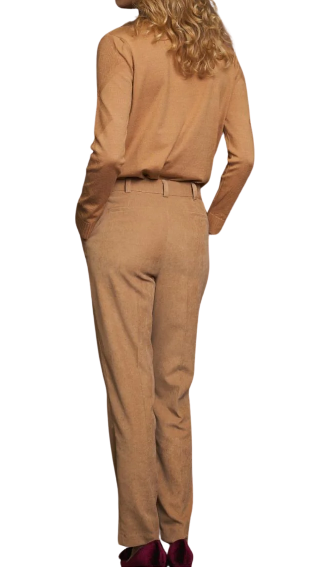 Camel Aeso Pant