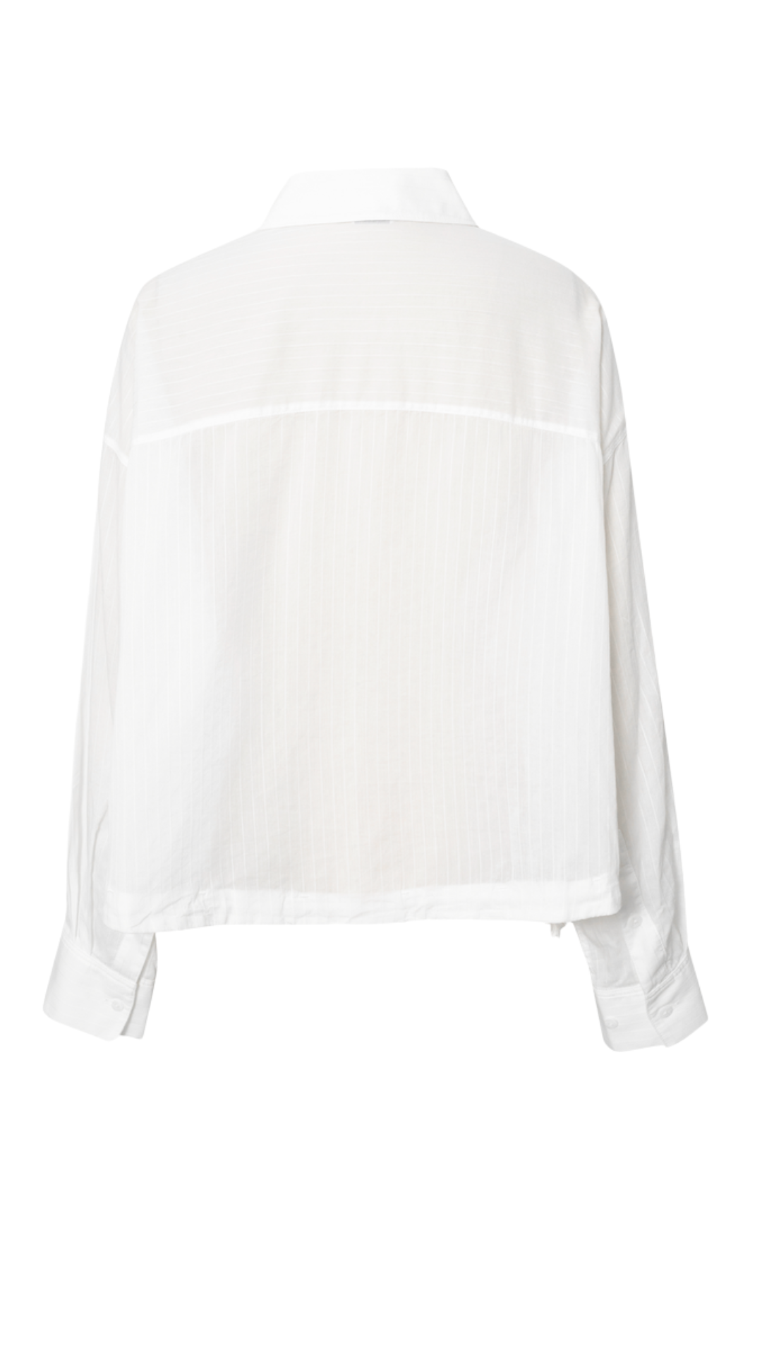 White Sheer Striped Button Down