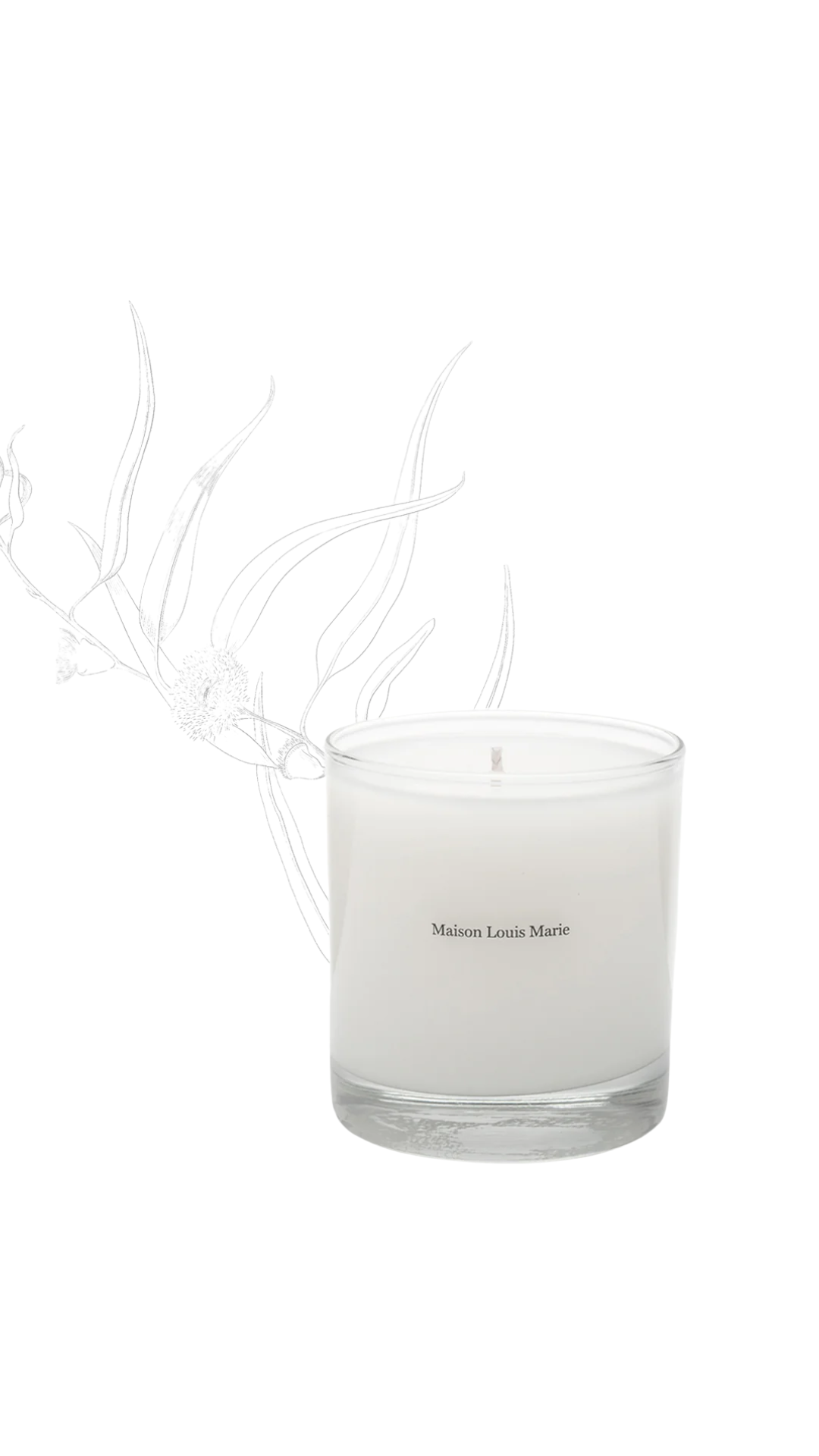 Maison Louis Marie Candle with Gift Box