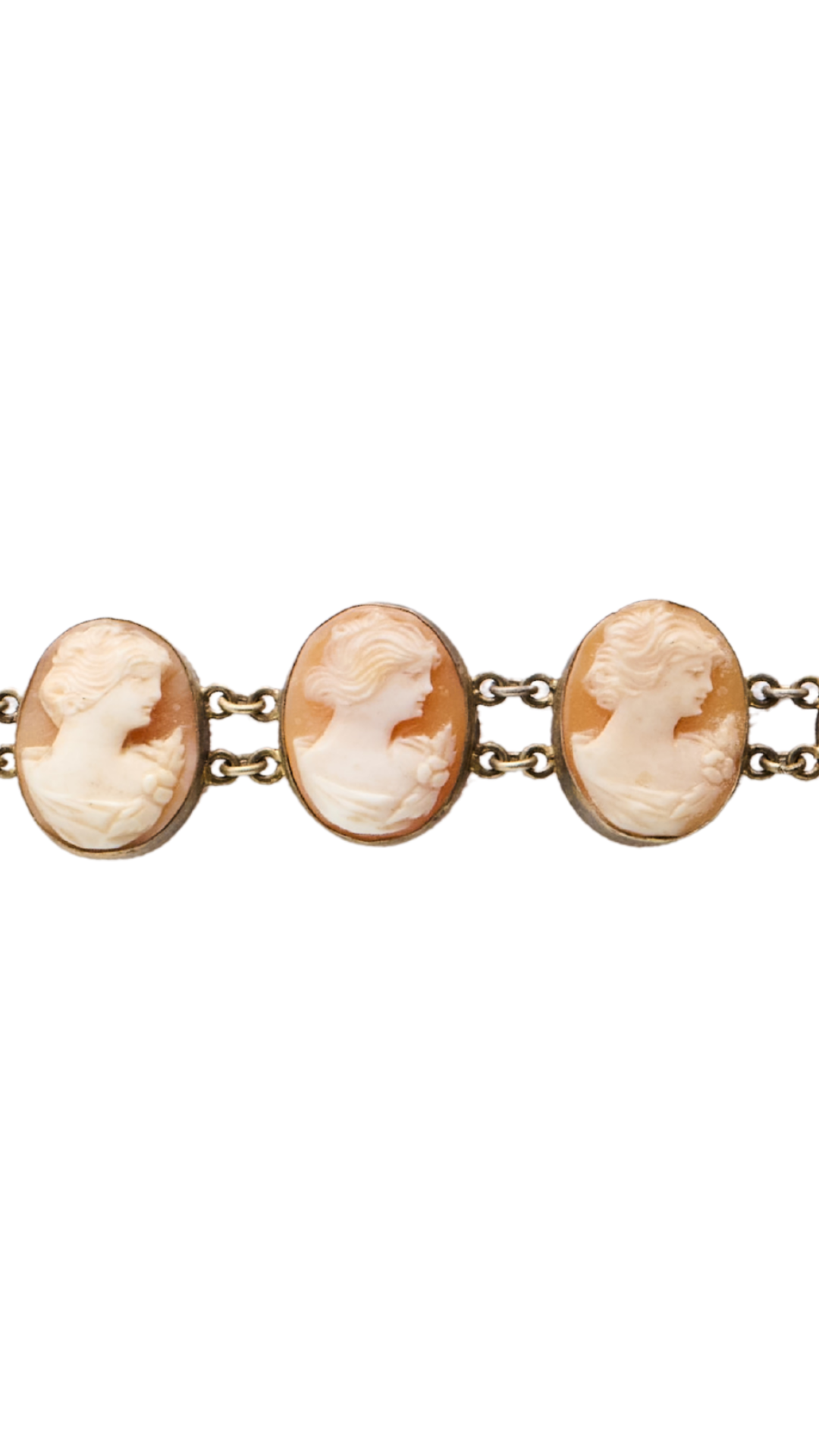 SS Cameo Brclt