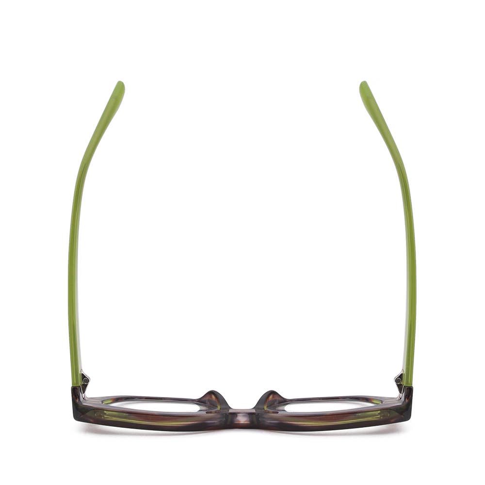 Piper Brown Green Stripe Readers