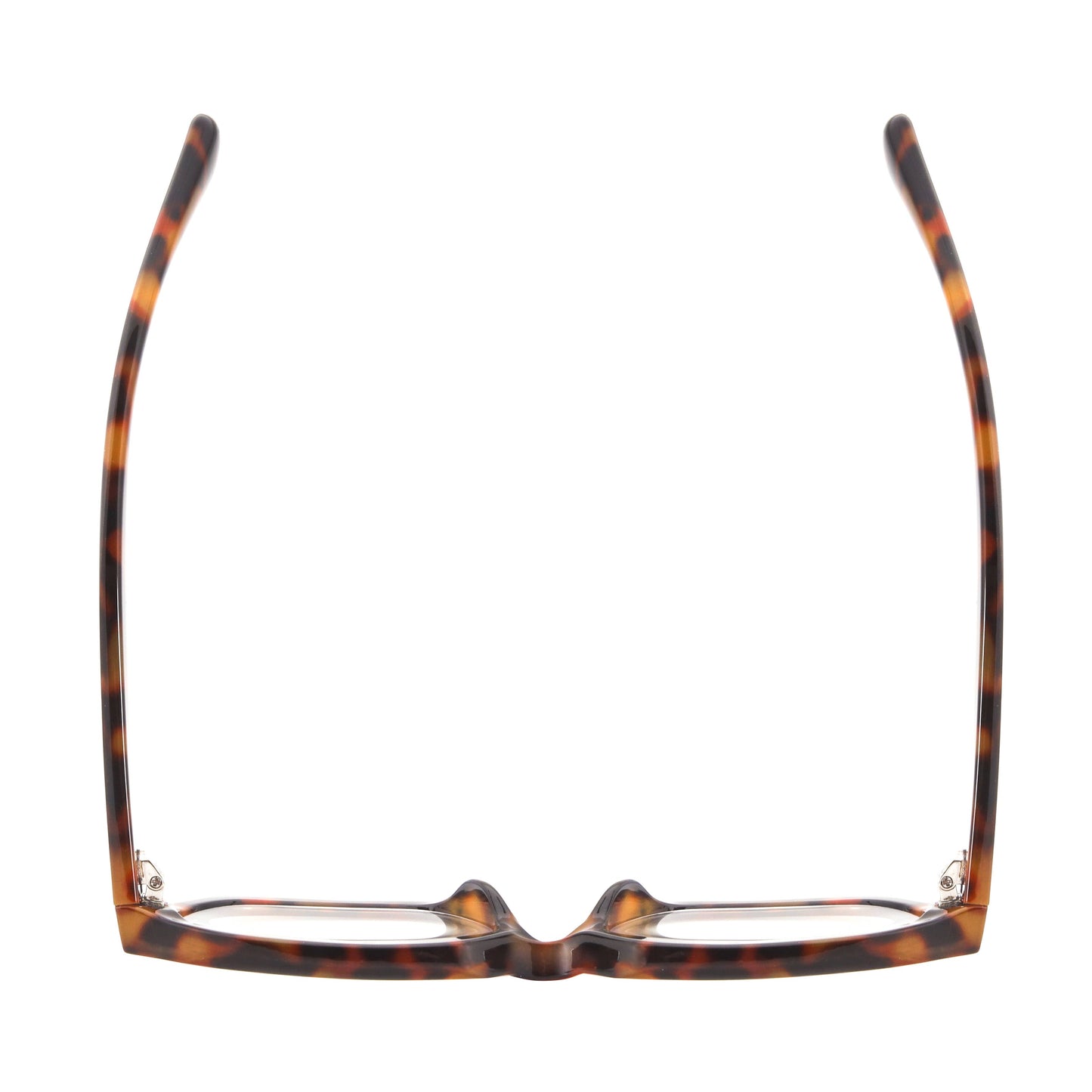 Grace Tortoise Readers