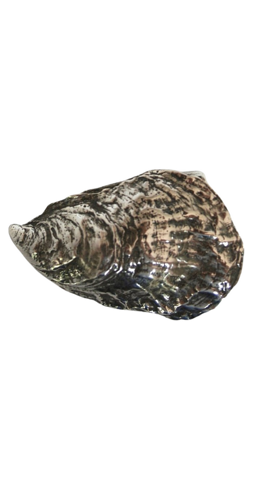 Coskata Oyster Belt Buckle - Nickel Silver