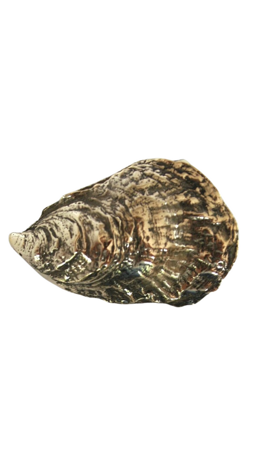 Coskata Oyster Belt Buckle - Yellow Bronze
