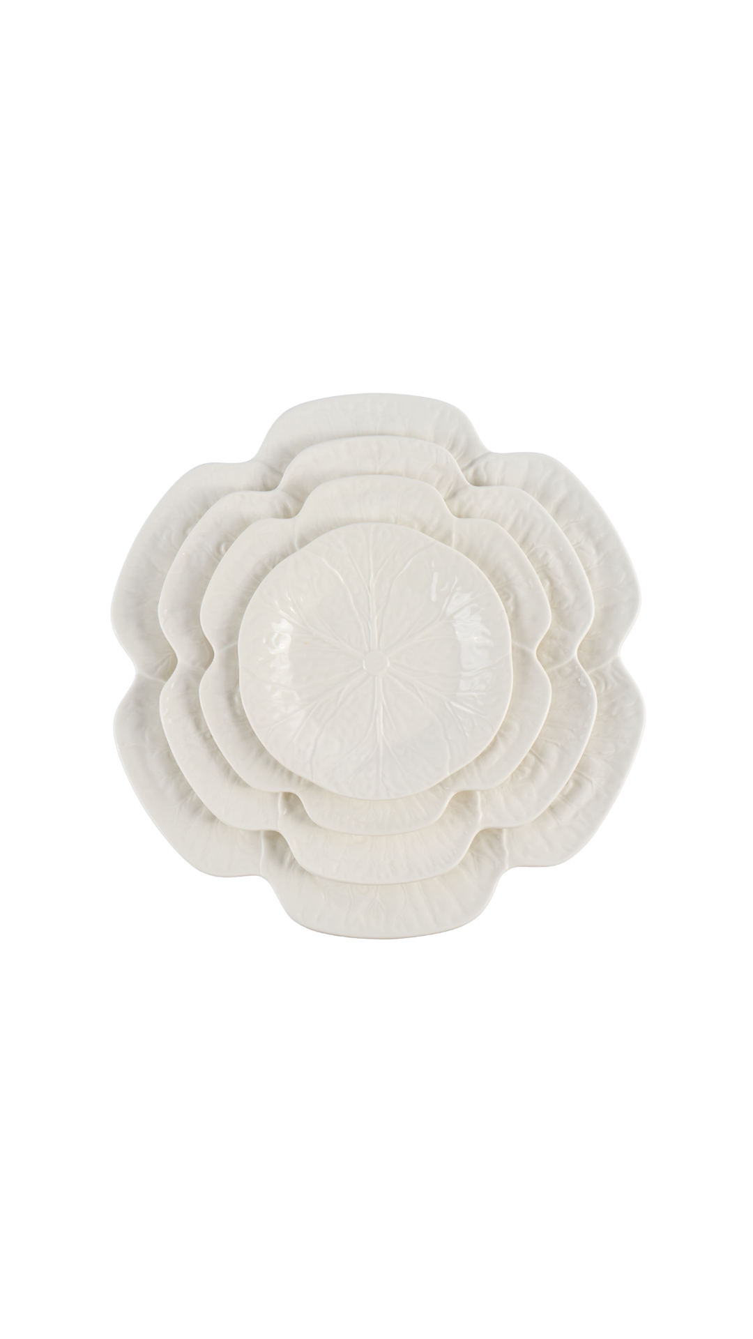 6" Ivory Cabbage Plate