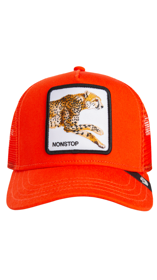 Blaze Nonstop Cheetah Mini Hat