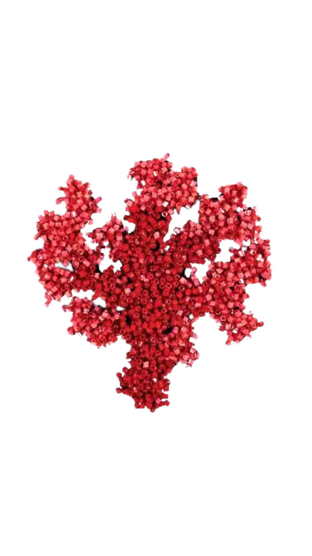 Coral Brooch