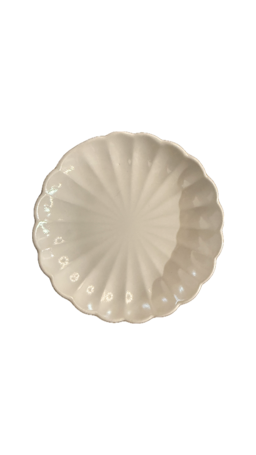 Ivory Stoneware Floral Plates