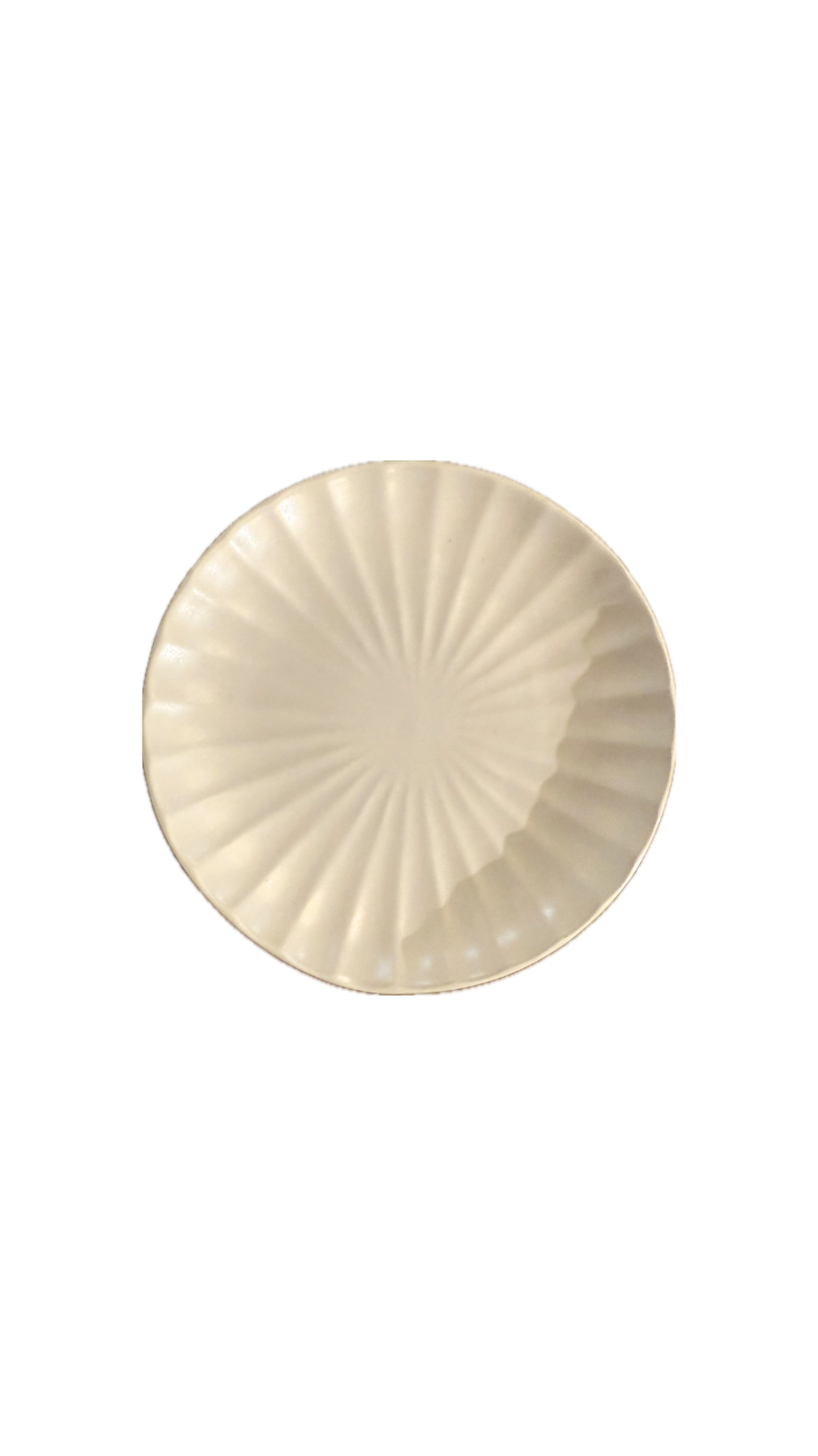 Ivory Stoneware Floral Plates