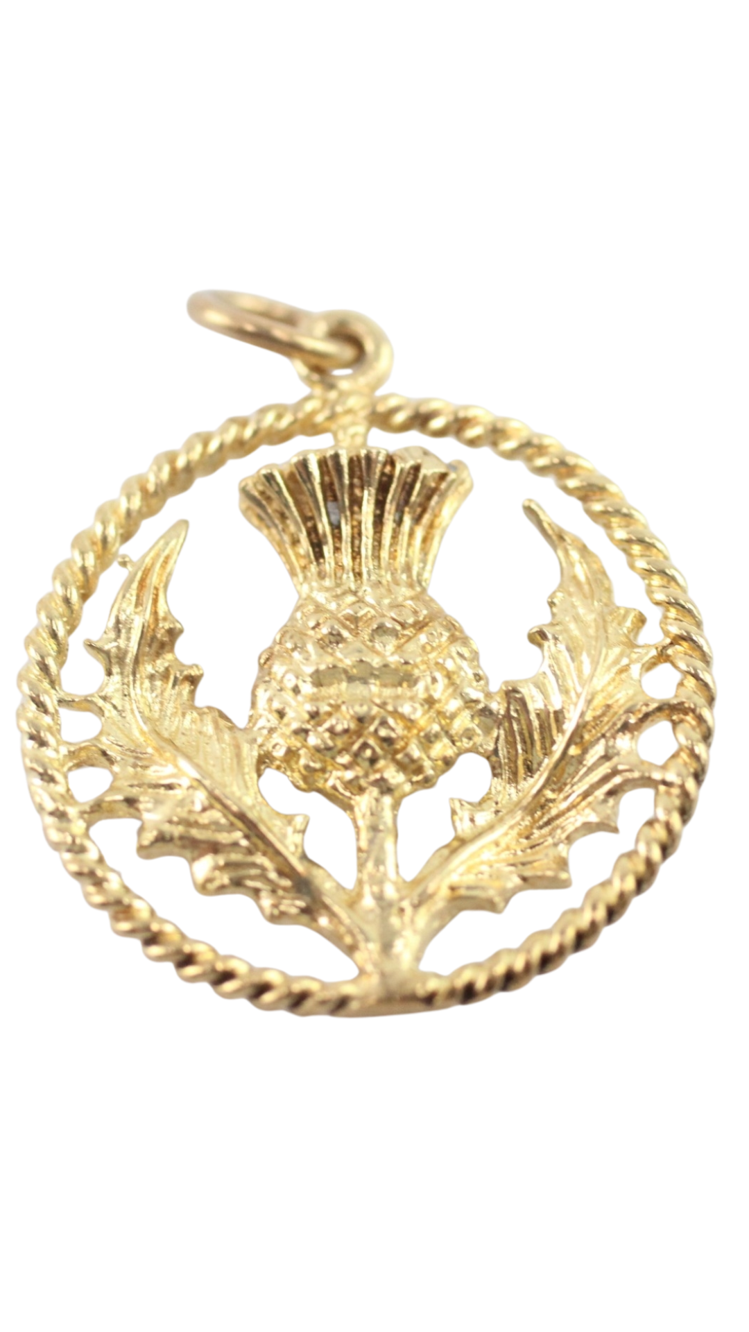 200 Scottish Thistle Charm