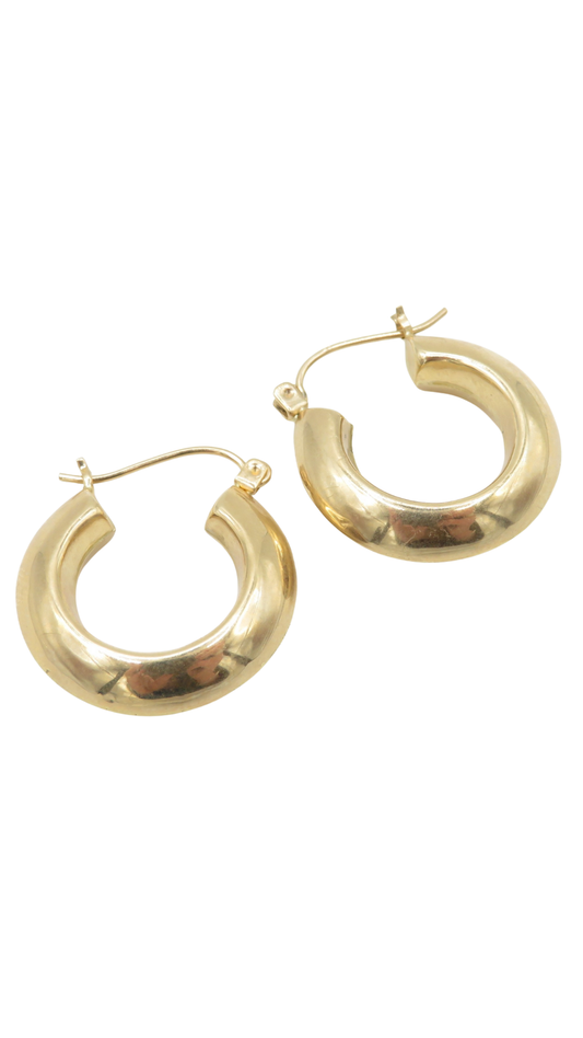 2 Gold Chunky Hoop Earrings