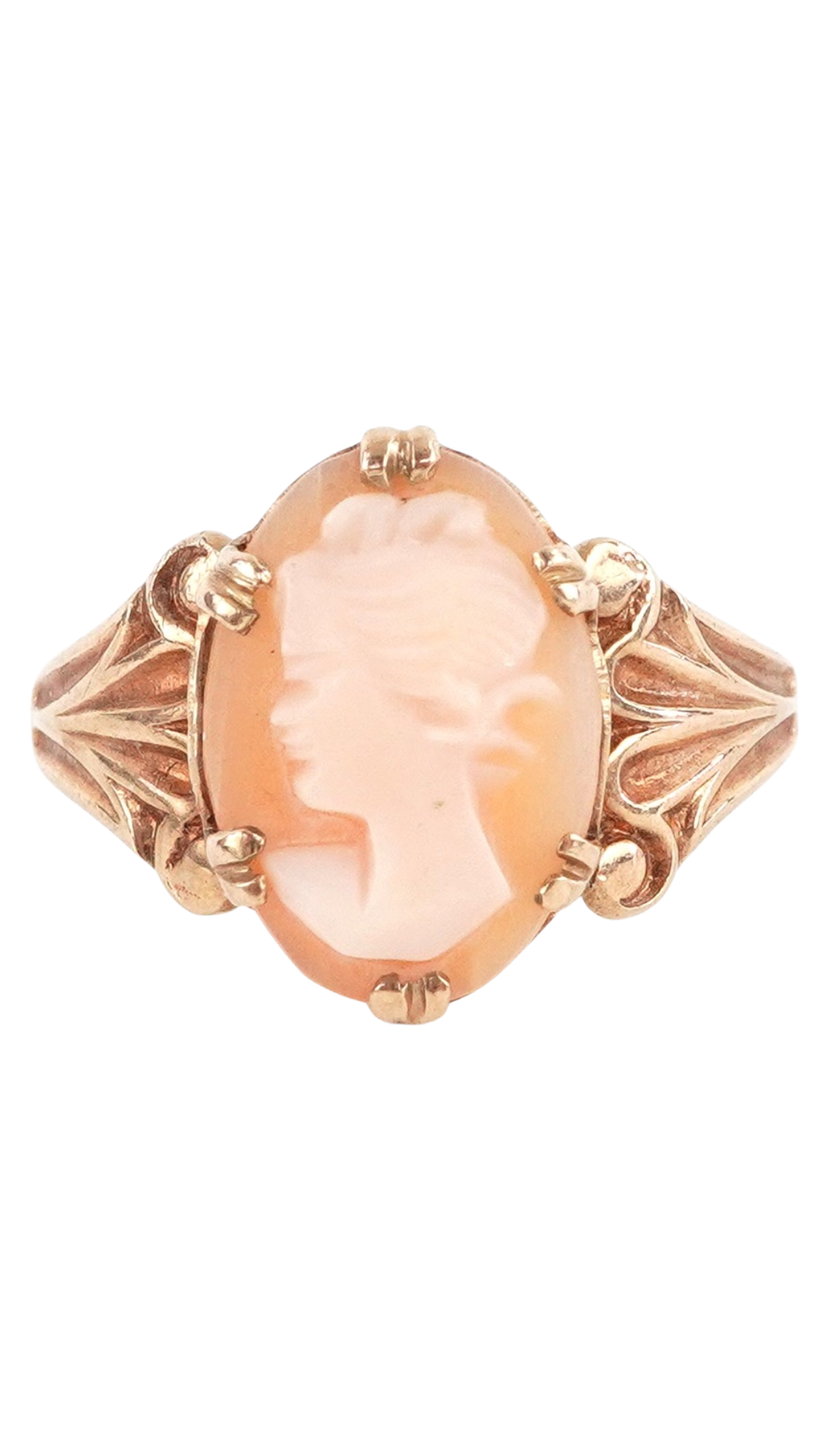3310 Cameo Shell Ring