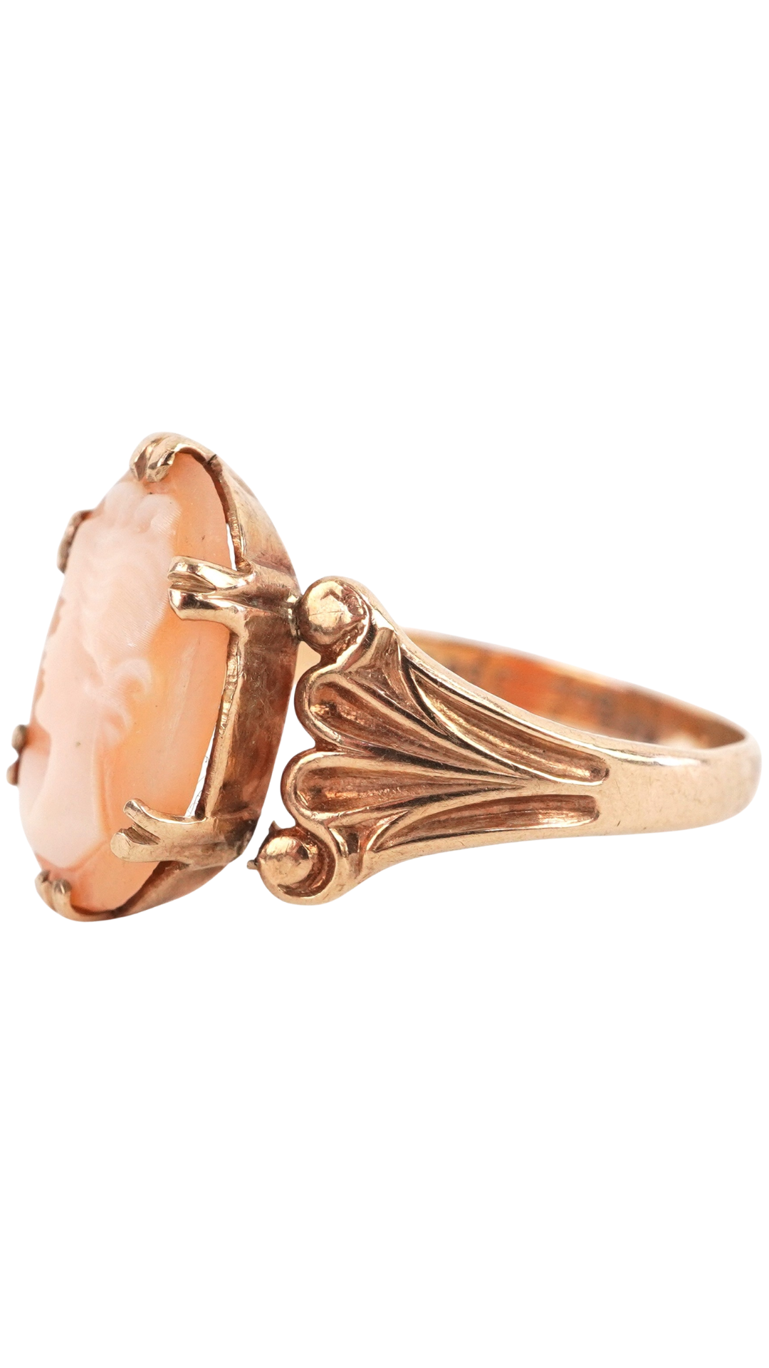 3310 Cameo Shell Ring