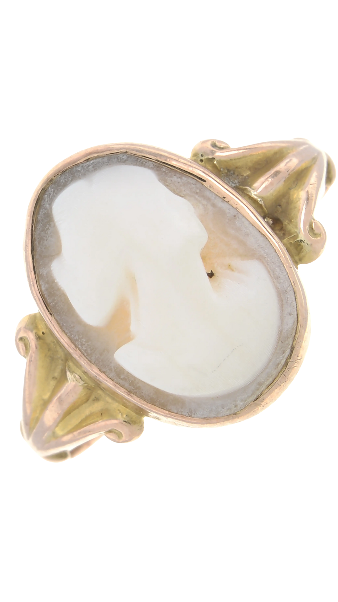 18 Cameo Shell Ring