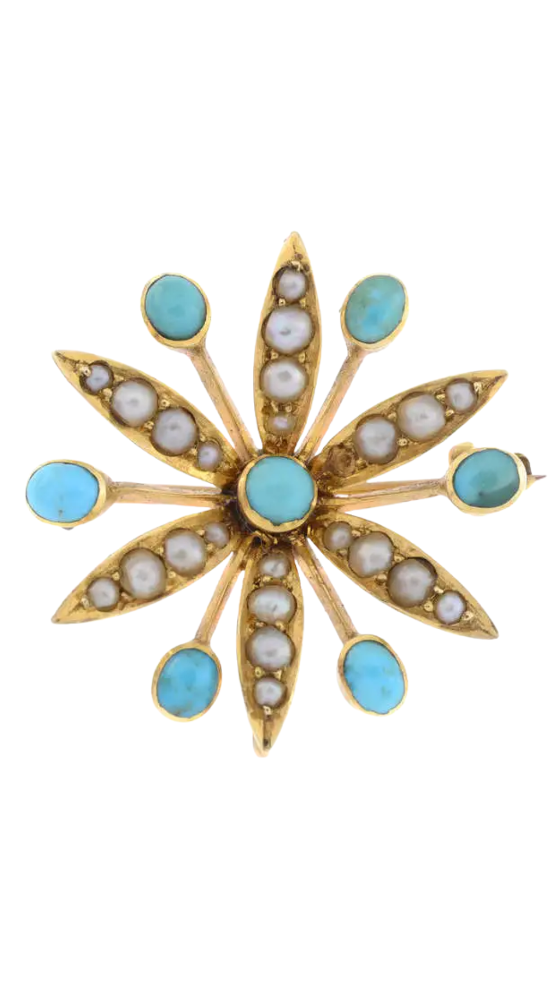 790 Gold Turquoise Brooch