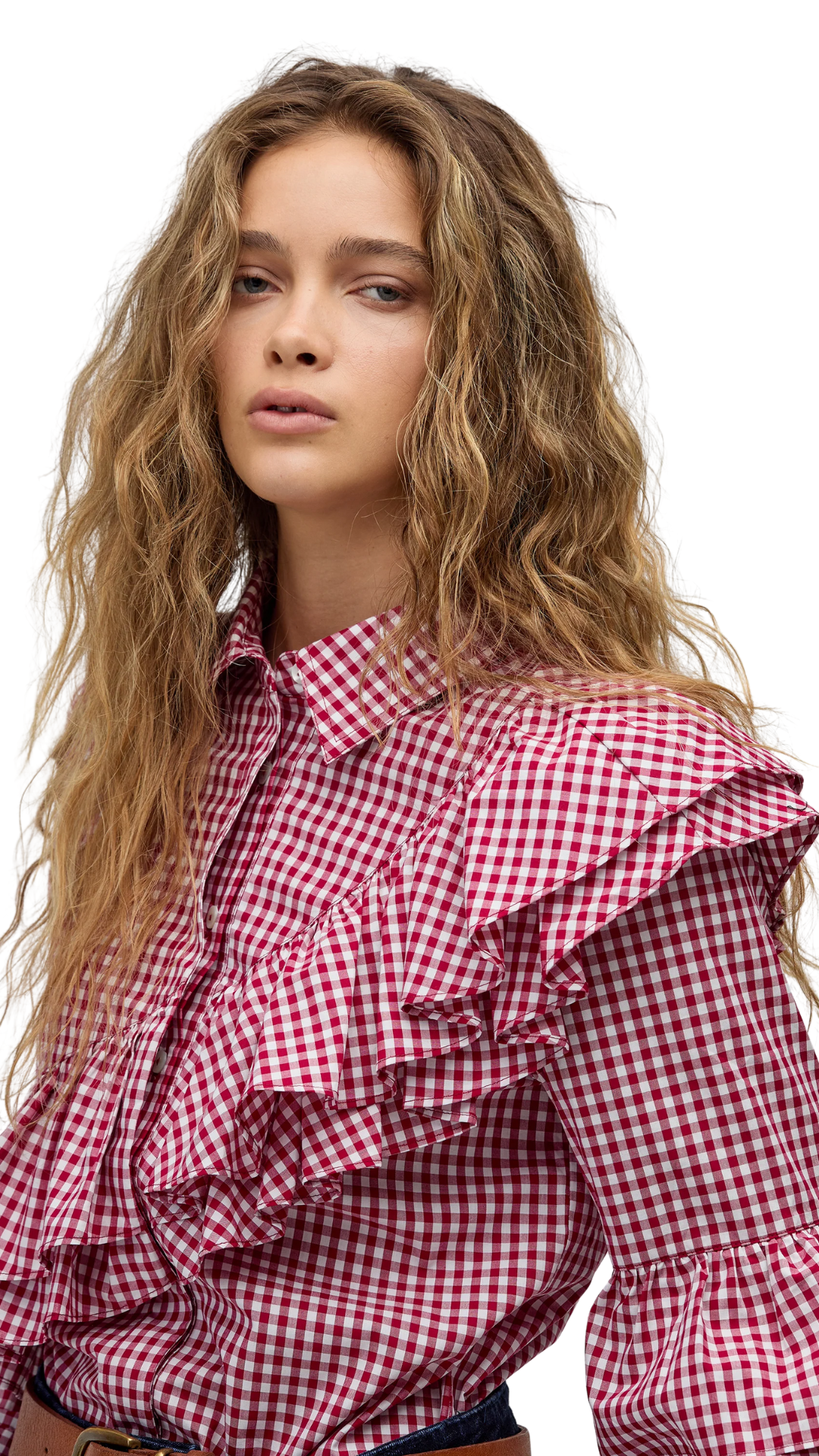 Bordeaux Vichy Checks Mambo Poplin Shirt