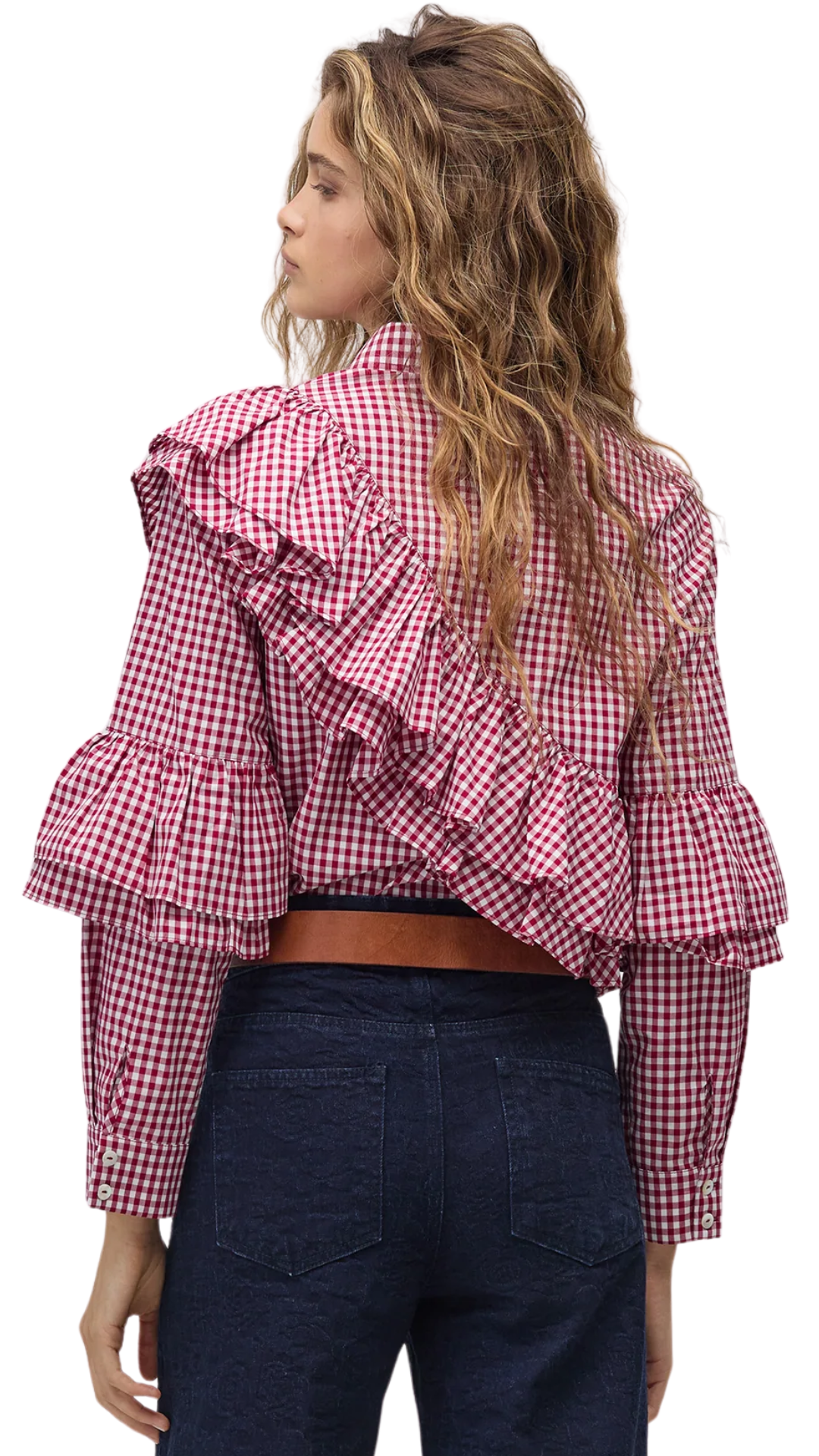 Bordeaux Vichy Checks Mambo Poplin Shirt