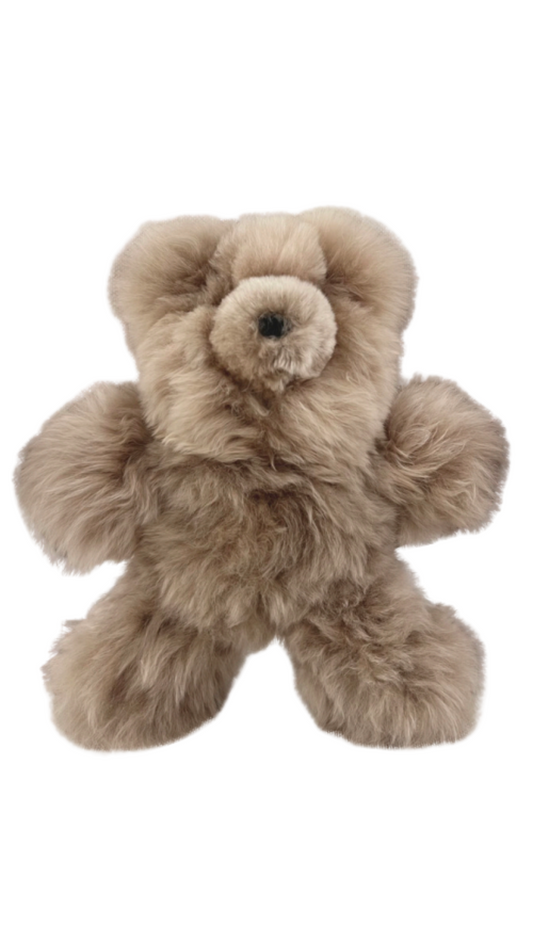 Taupe Teddy Bear Plushy