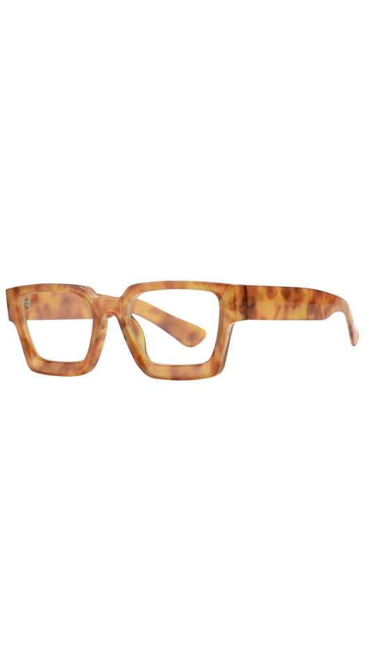 Tal Light Tortoise Readers