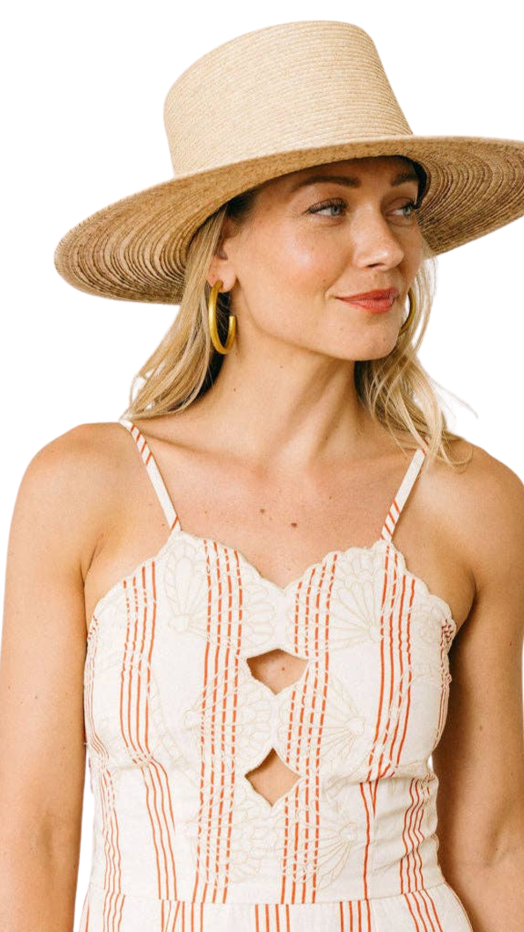 Cherry Pinstripe Sophia Dress