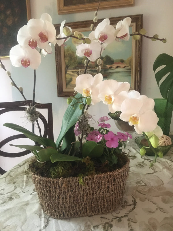 Aloha Orchid Planter